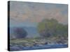 James River from Belle Isle I-Chuck Larivey-Stretched Canvas