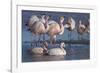 James's flamingo flock on the shore of Laguna Colorada, Altiplano, Bolivia-Bernard Castelein-Framed Photographic Print