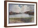 Brown Frame
