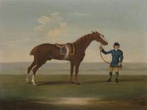 'Flying Childers' Galloping to Left: Bridled But Not Saddled-James Seymour-Giclee Print