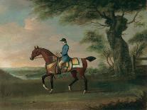 The Stables and Two Famous Running Horses Belonging to His Grace, the Duke of Bolton, 1747-James Seymour-Giclee Print