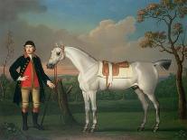 A Chestnut Horse (Possibly Old Partner) Held by a Groom-James Seymour-Giclee Print