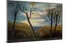 Wood Mount