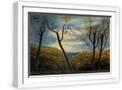 White Frame