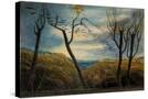 Stretched Canvas