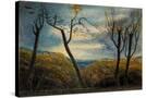 Stretched Canvas
