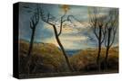 Stretched Canvas