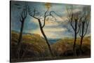 Stretched Canvas