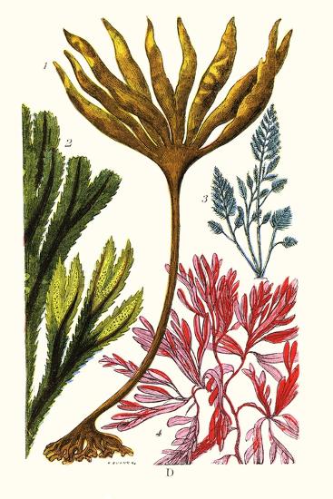 Art Print, , large