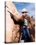James Stewart, The Man from Laramie (1955)-null-Stretched Canvas
