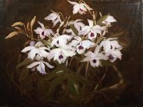 Daffodils-James Stuart Park-Framed Giclee Print
