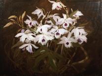 Violets, c.1900-James Stuart Park-Giclee Print