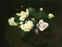 White Camelias-James Stuart Park-Giclee Print