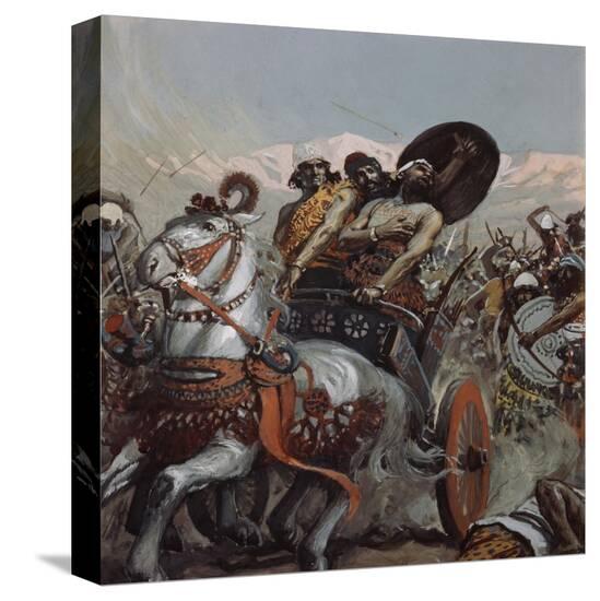 Stretched Canvas Print, , large