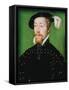 James V of Scotland (1512-42), C.1536-37-Claude Corneille de Lyon-Framed Stretched Canvas