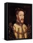 James V of Scotland-null-Framed Stretched Canvas