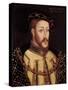 James V of Scotland-null-Stretched Canvas