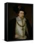 James VI of Scotland and I of England and Ireland, 1604-null-Framed Stretched Canvas