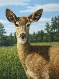 A Sunny Doe-James W. Johnson-Giclee Print