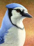 Blue Jay-James W. Johnson-Giclee Print