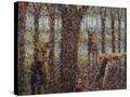 Stretched Canvas