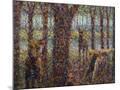 Wood Mount