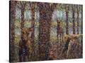 Stretched Canvas