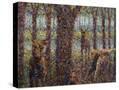 Stretched Canvas