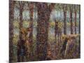 Wood Mount