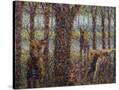 Stretched Canvas