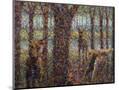 Wood Mount