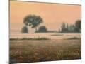 Wood Mount