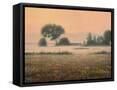 Framed Canvas