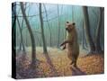 Stretched Canvas
