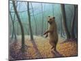 Wood Mount