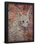 Essential Black