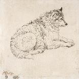 Arctic Dog, Facing Right (Pencil on Paper)-James Ward-Giclee Print