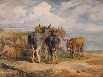 'Donkeys', c1831 (1904)-James Ward-Giclee Print