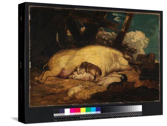 Stretched Canvas Print, , large