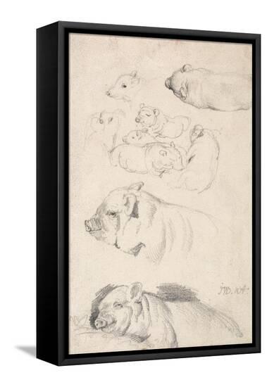 Stretched Canvas Print, , large