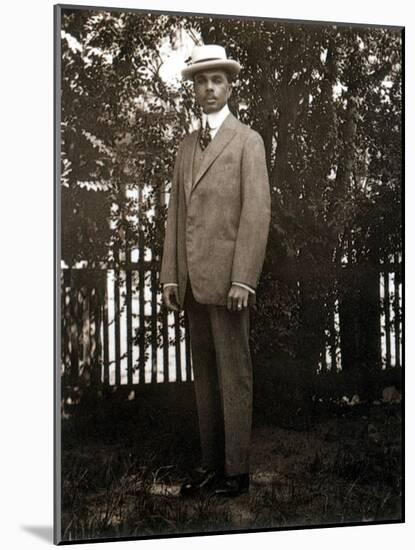 James Weldon Johnson, American Author and Activist-Science Source-Mounted Giclee Print