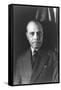 James Weldon Johnson-null-Framed Stretched Canvas