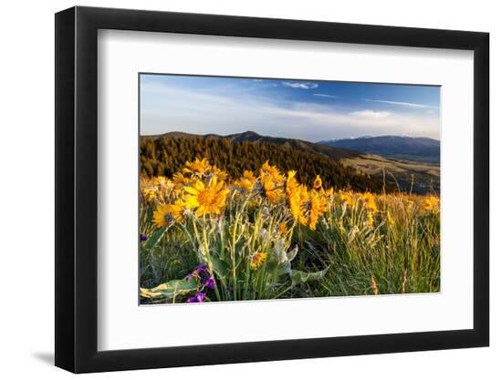 Photographic Print, , large