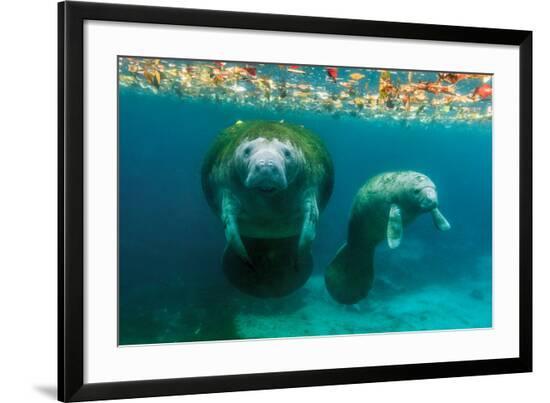 Framed Photographic Print, , large