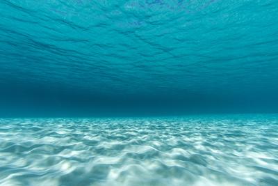 Underwater Photograph of a Textured Sandbar in Clear Blue Water Near Staniel Cay, Exuma, Bahamas
