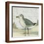 Brown Frame