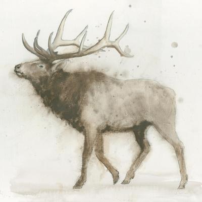 Global Gallery James Wiens Majestic Elk Brown Giclee Stretched Canvas Artwork 30 x 20 