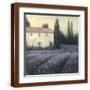 Brown Frame