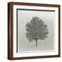 Brown Frame