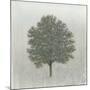 Wood Mount